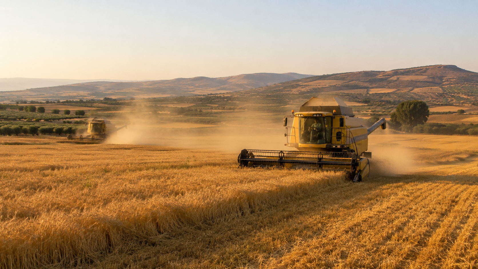 Jendouba and Béja face highest harvest fire risk as Tunisia's grain season peaks