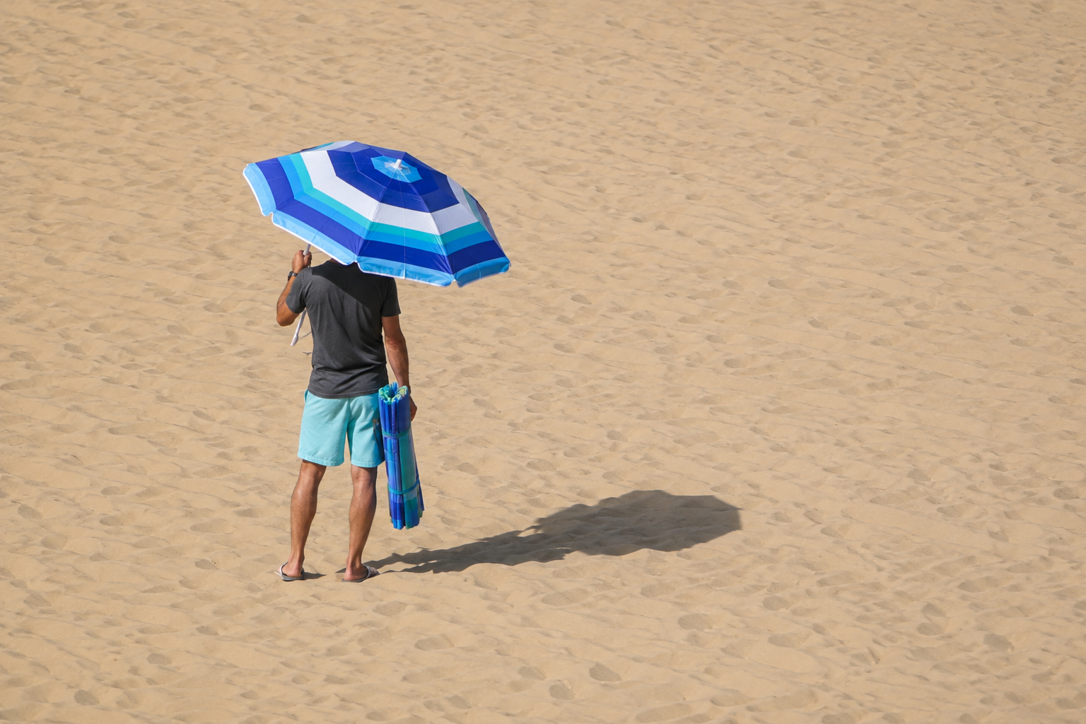 Temperatures could reach 42C in southern Tunisia as sh’hili winds appear