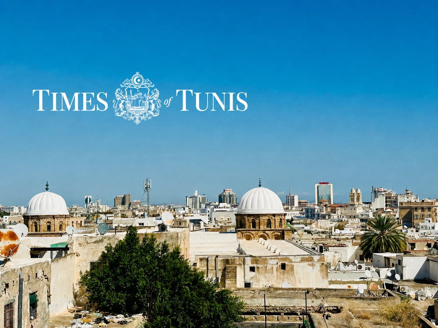 The Times of Tunis Is Almost Ready. You Found Us Early.
