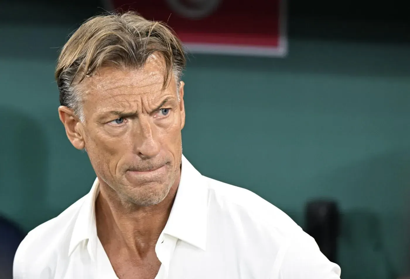 Renard faces Japan test with Tunisia’s World Cup already on edge