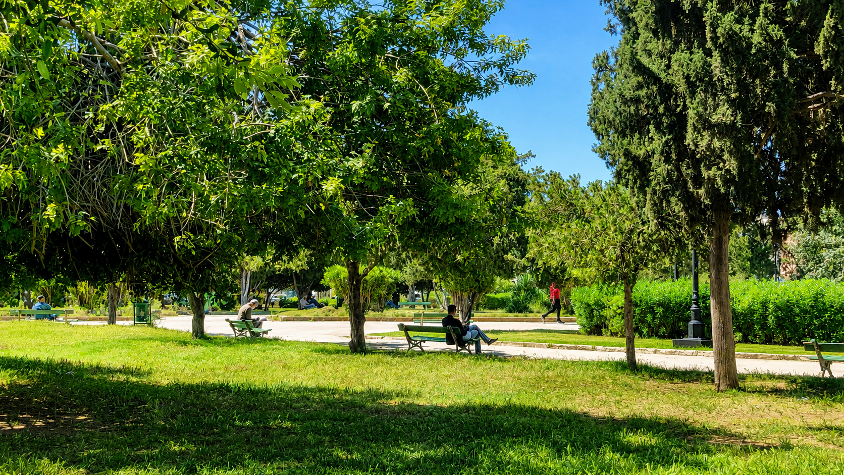 Tunisia’s cities struggle with chronic shortage of green space
