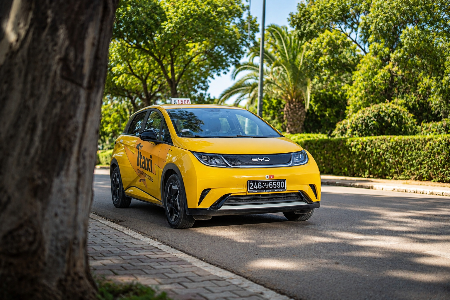 Tunisia plans electric taxi pilot in Bizerte, Sfax and Djerba