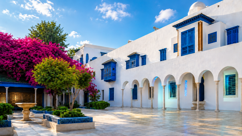 Ennejma Ezzahra XR launches in Sidi Bou Saïd on 10 June
