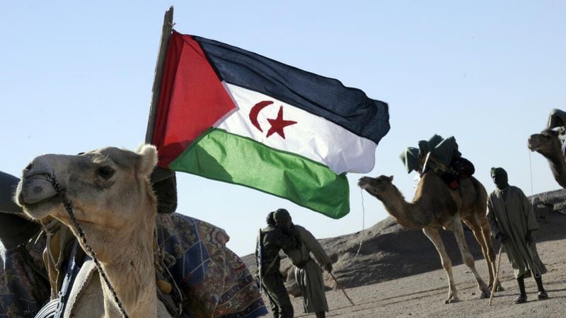 Polisario says three members killed in Western Sahara, including son of former leader