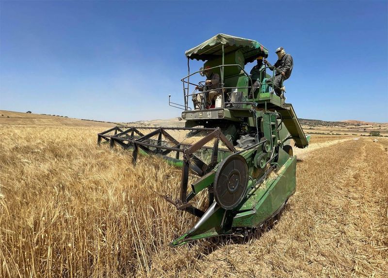 After Two Lost Harvests, Tunisia Reschedules Its Farmers' Debts