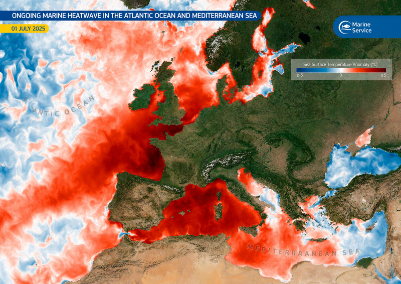 Historic marine heatwave grips north-west Mediterranean as ocean records tumble worldwide