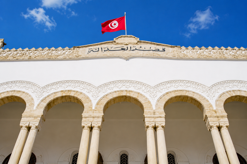 Tunis court hands down 18-year terms in international coral-trafficking case
