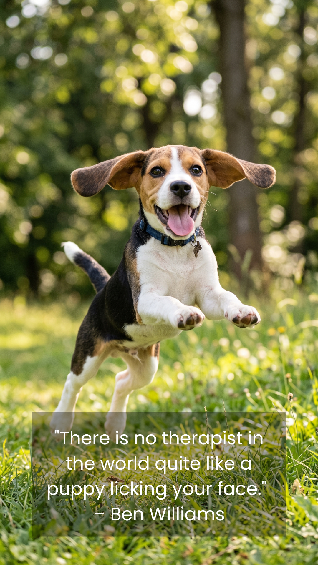Playful Beagle puppy jumping up happily quote wallpaper