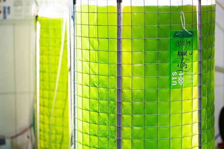 Public Private Climateships