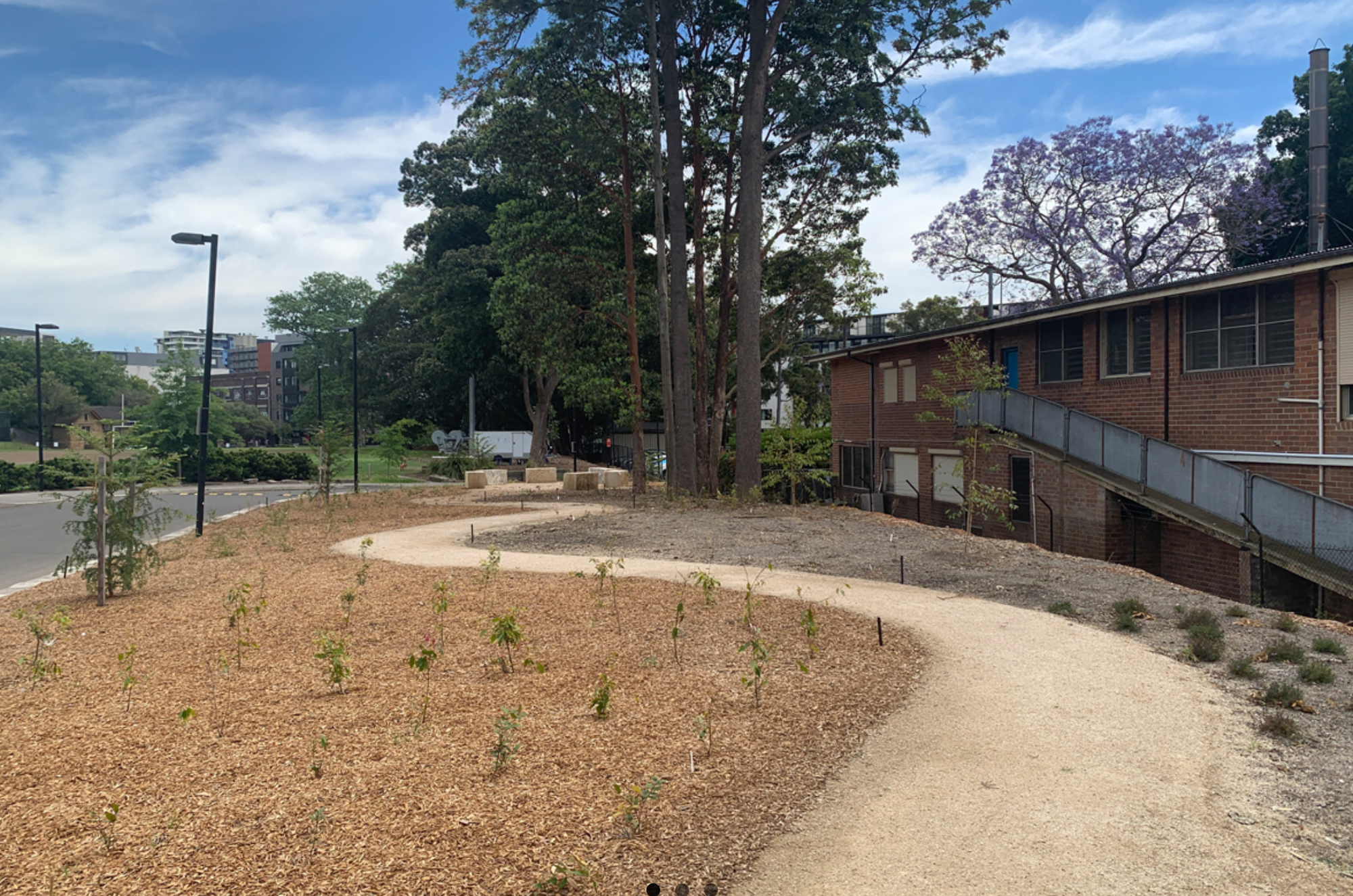 Curriculum Garden