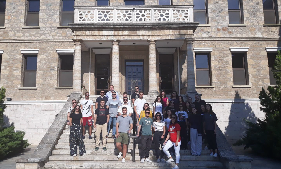 Levelling the Playing Field