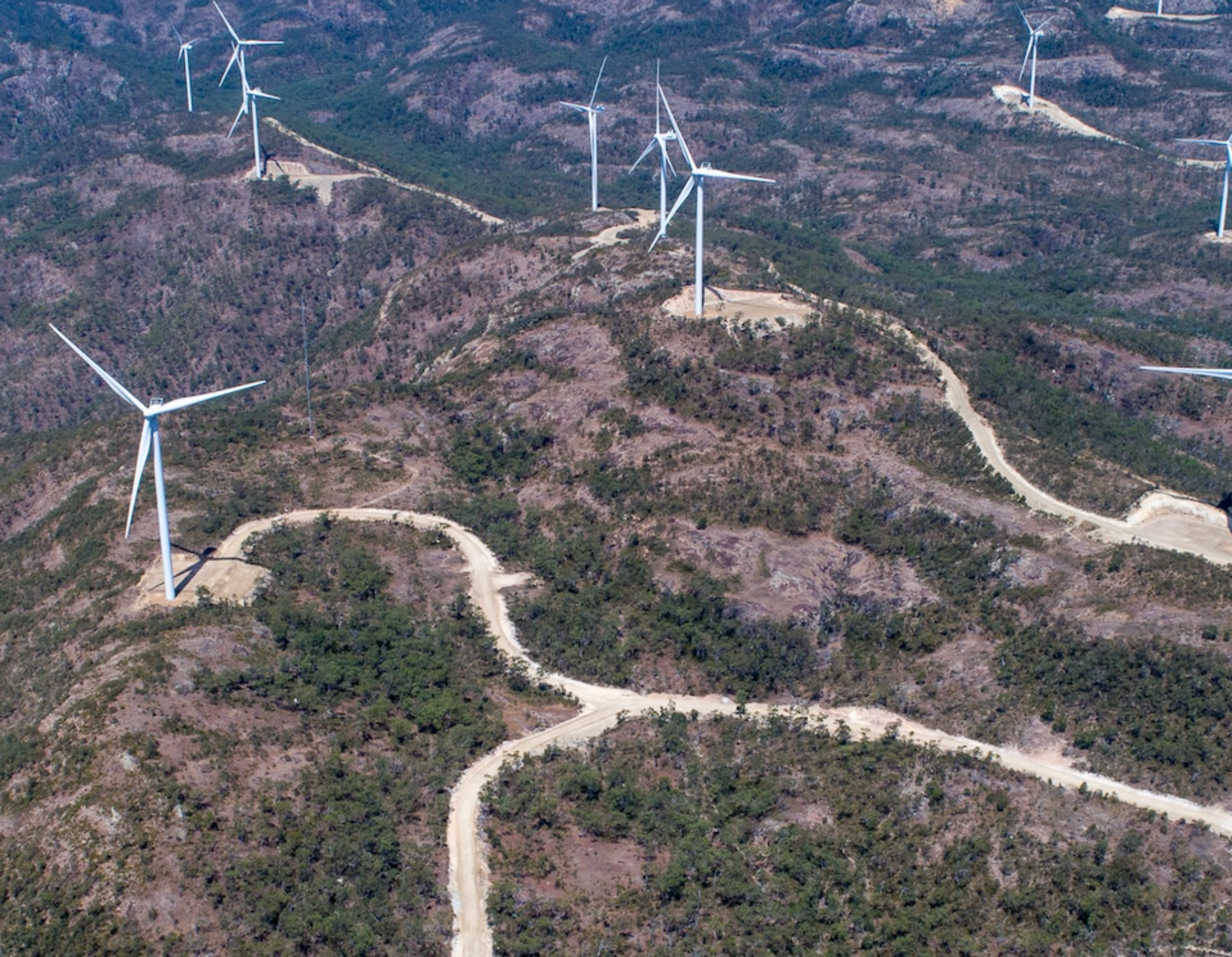 Cut the Trees, Raise the Blades