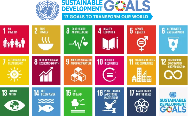 How are Business Schools Engaging in the SDGs?