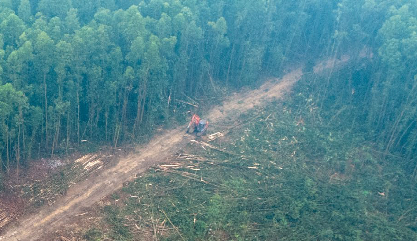 Undervalued approaches