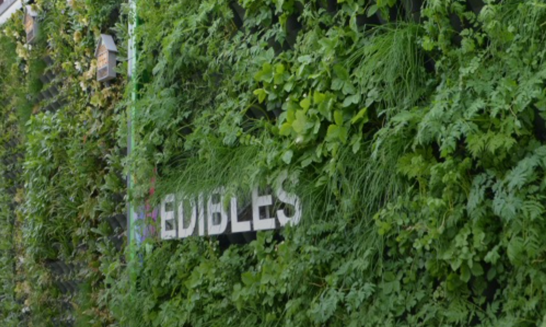 Selling Sustainability