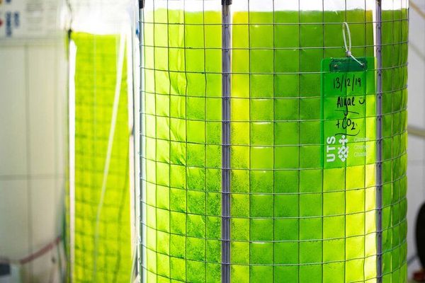 Public Private Climateships