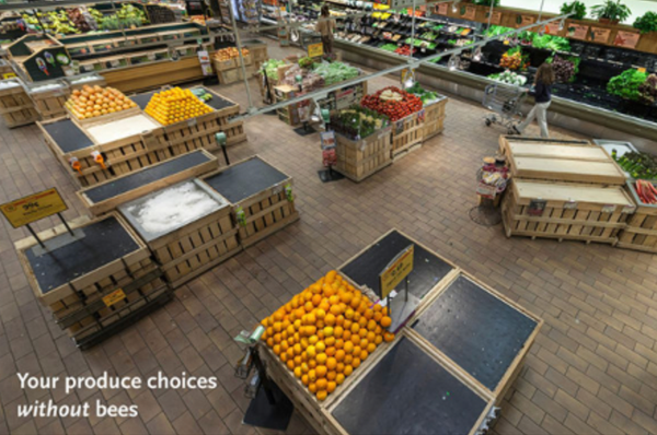 Interdisciplinary Bee Partnerships