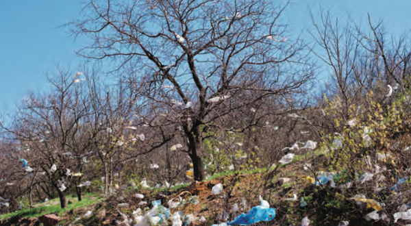 Interdisciplinary Action Around Plastic