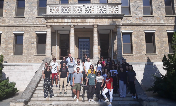 Levelling the Playing Field