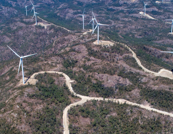 Cut the Trees, Raise the Blades