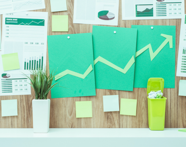 How to Write an Impactful Sustainability Report