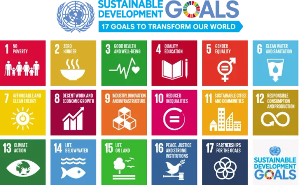 How are Business Schools Engaging in the SDGs?