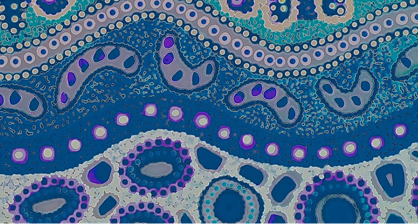 UNSW's SDG Steering Committee