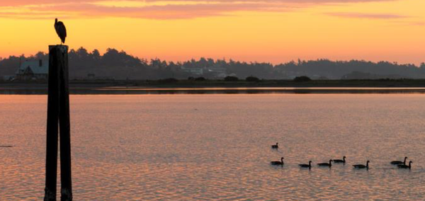 Acknowledgement of Country