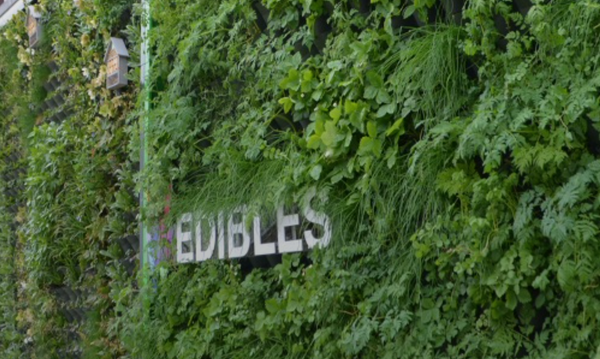 Selling Sustainability