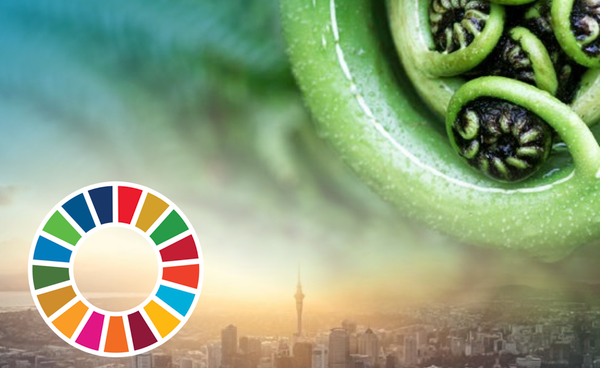 (List #88) Embedding the SDGs