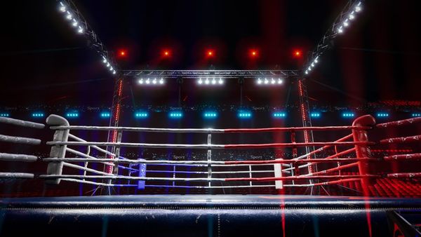 FightNews.dk går i ringen!