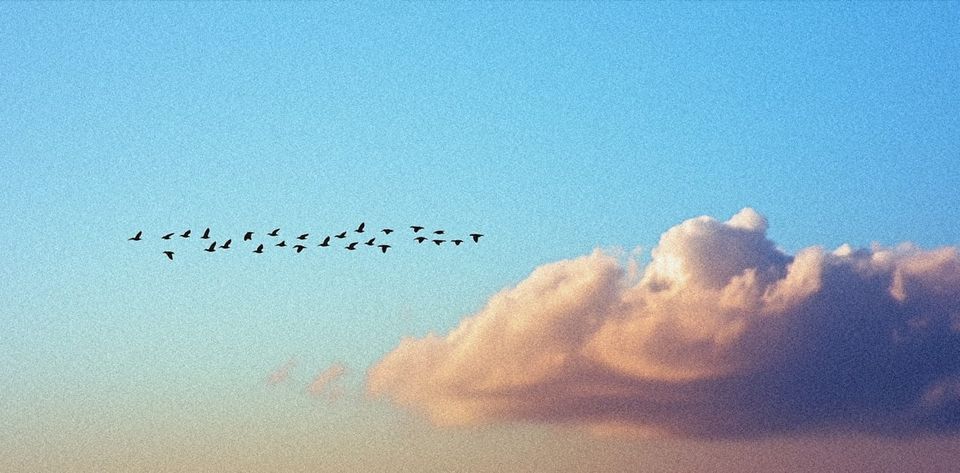 RL Swarm: a framework for collaborative RL