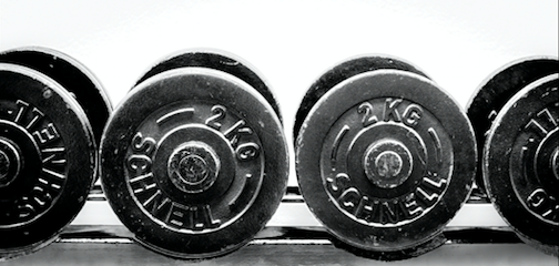 Bärenstarke Bernerinnen und Berner