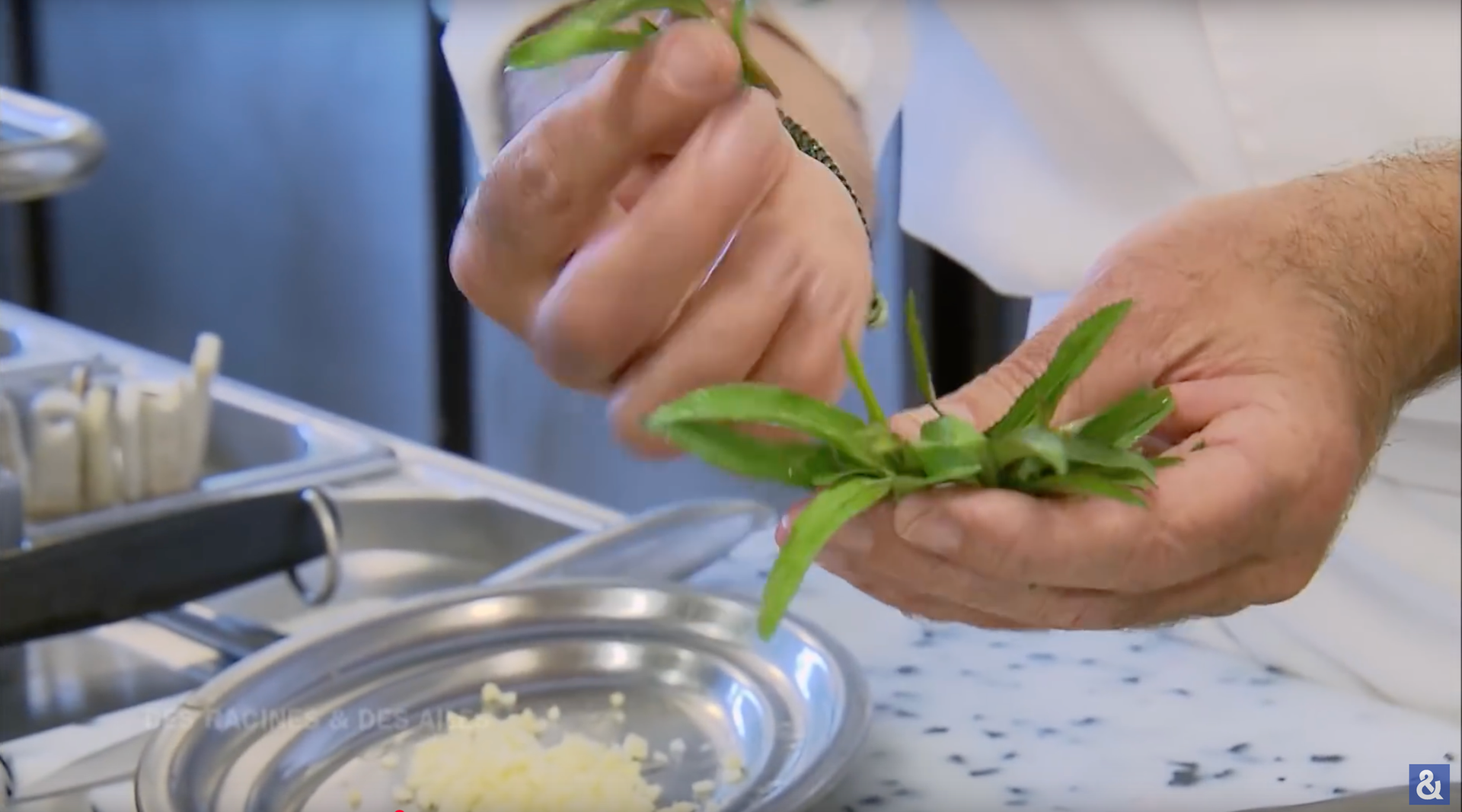 #025 👨🏻‍🍳🥕🌵 Train Your Ear: 2nd bite