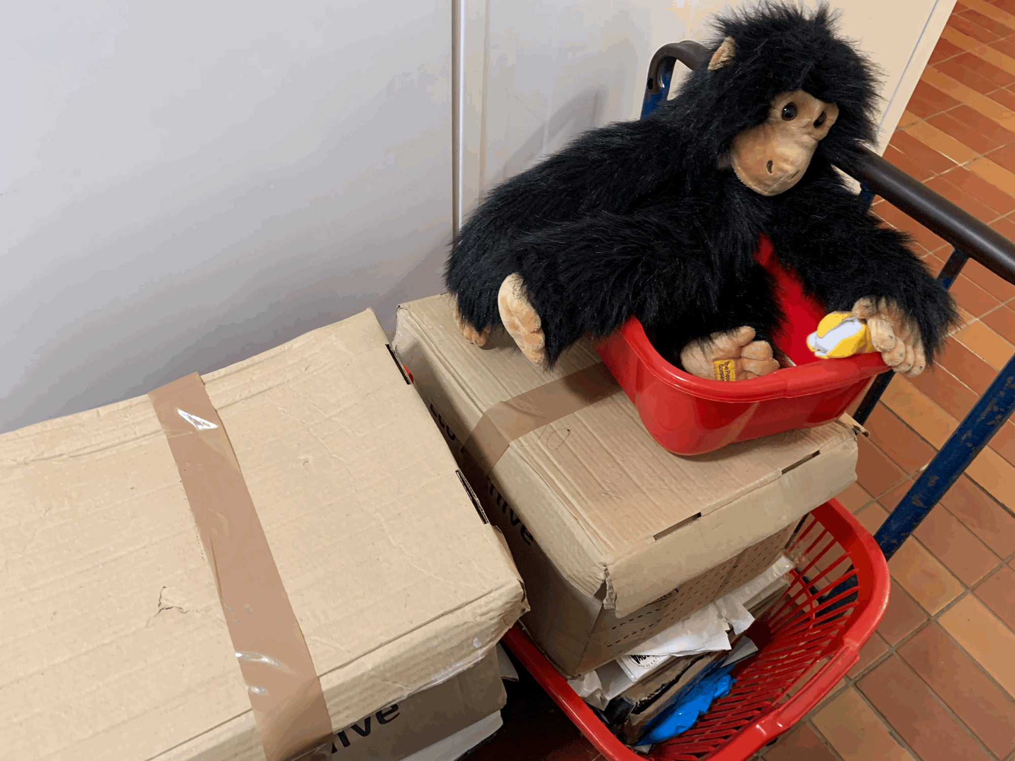 Boxes of "stuff" and a monkey puppet sitting on top