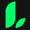 Liana Wallet review