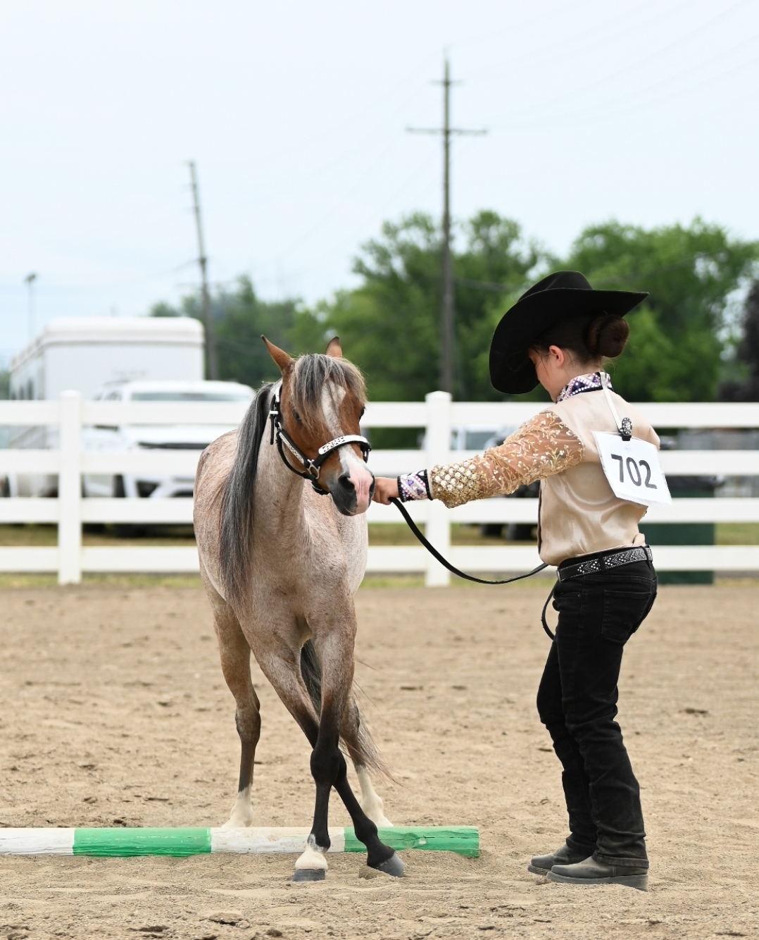 Youth and Mini demonstrate a sidepass for in-hand obstacle class. 
