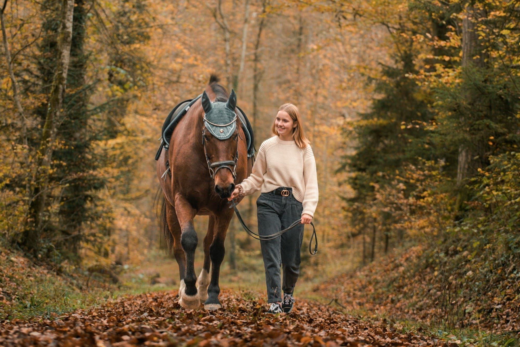 Saddle Up for Fall: Why This Season Is a Horse Lover’s Dream