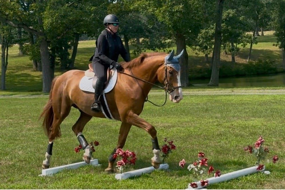 Cavaletti Work: Precision Training That Pays Off