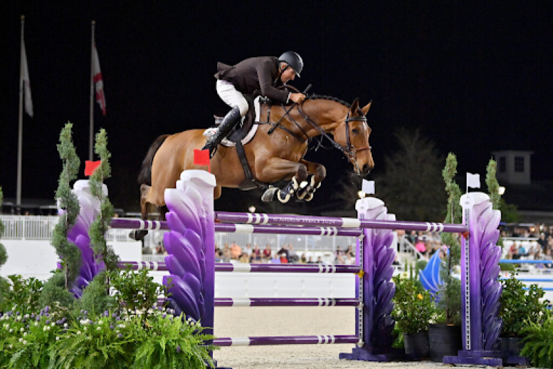 Teaching Your Show Jumper to Be Careful and Clean in the Ring