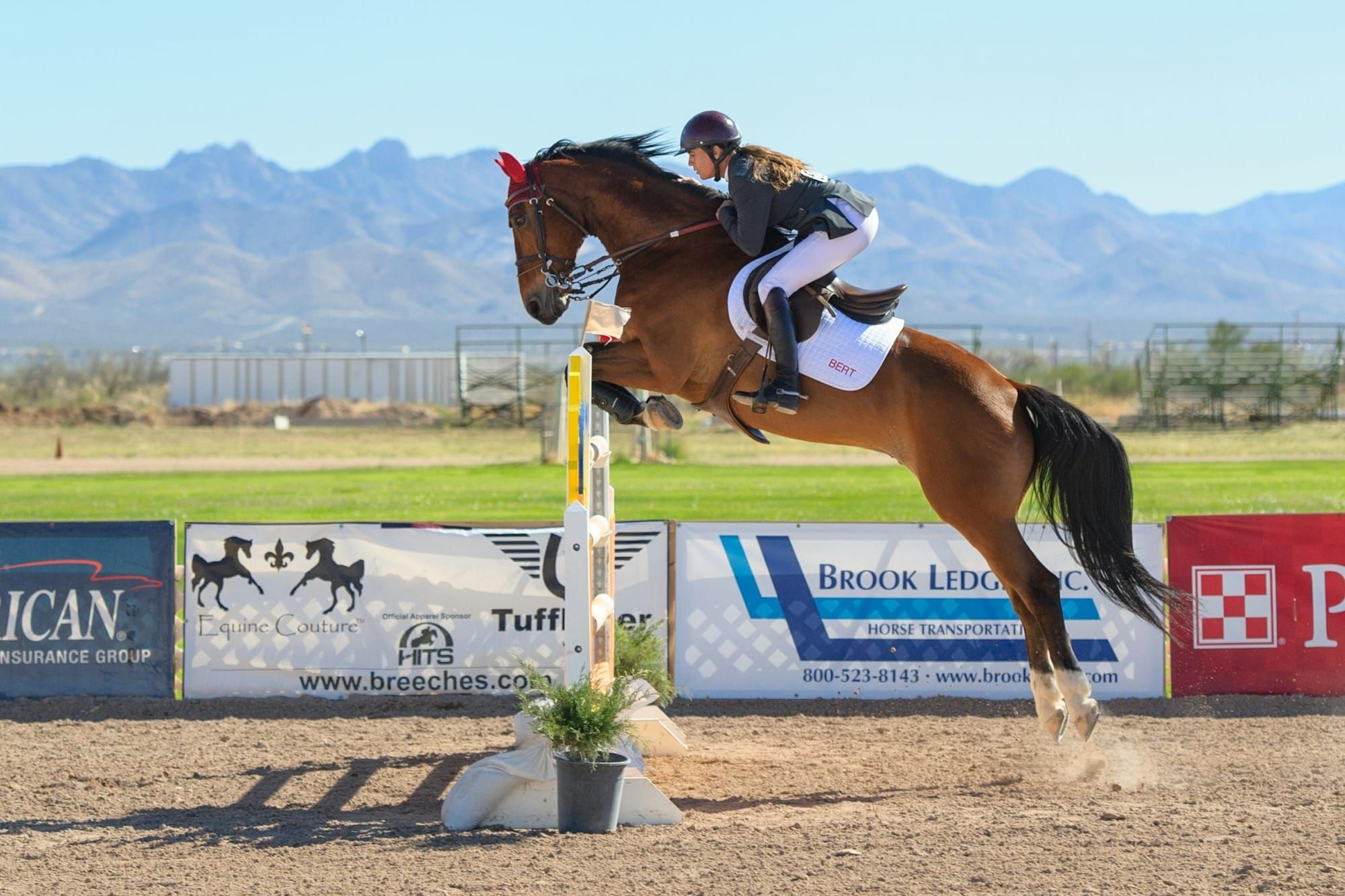 Finding Your Stride: A Rider’s Guide to Jumping Distances & Footage