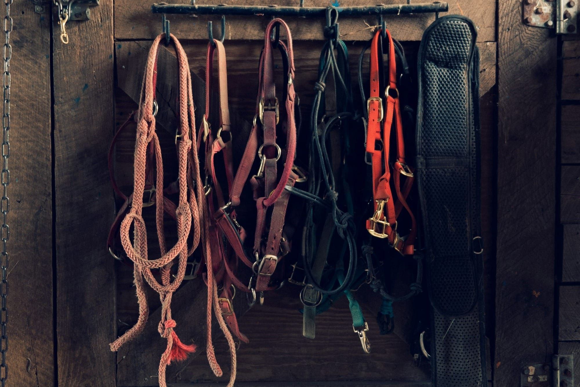 10 Genius Ways to Declutter Your Tack Room (Without Spending $$$)