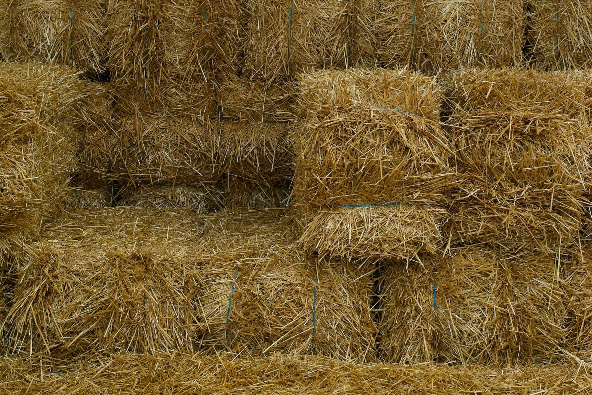 What Are the Different Types of Hay? And how much should you actually be feeding your horse?