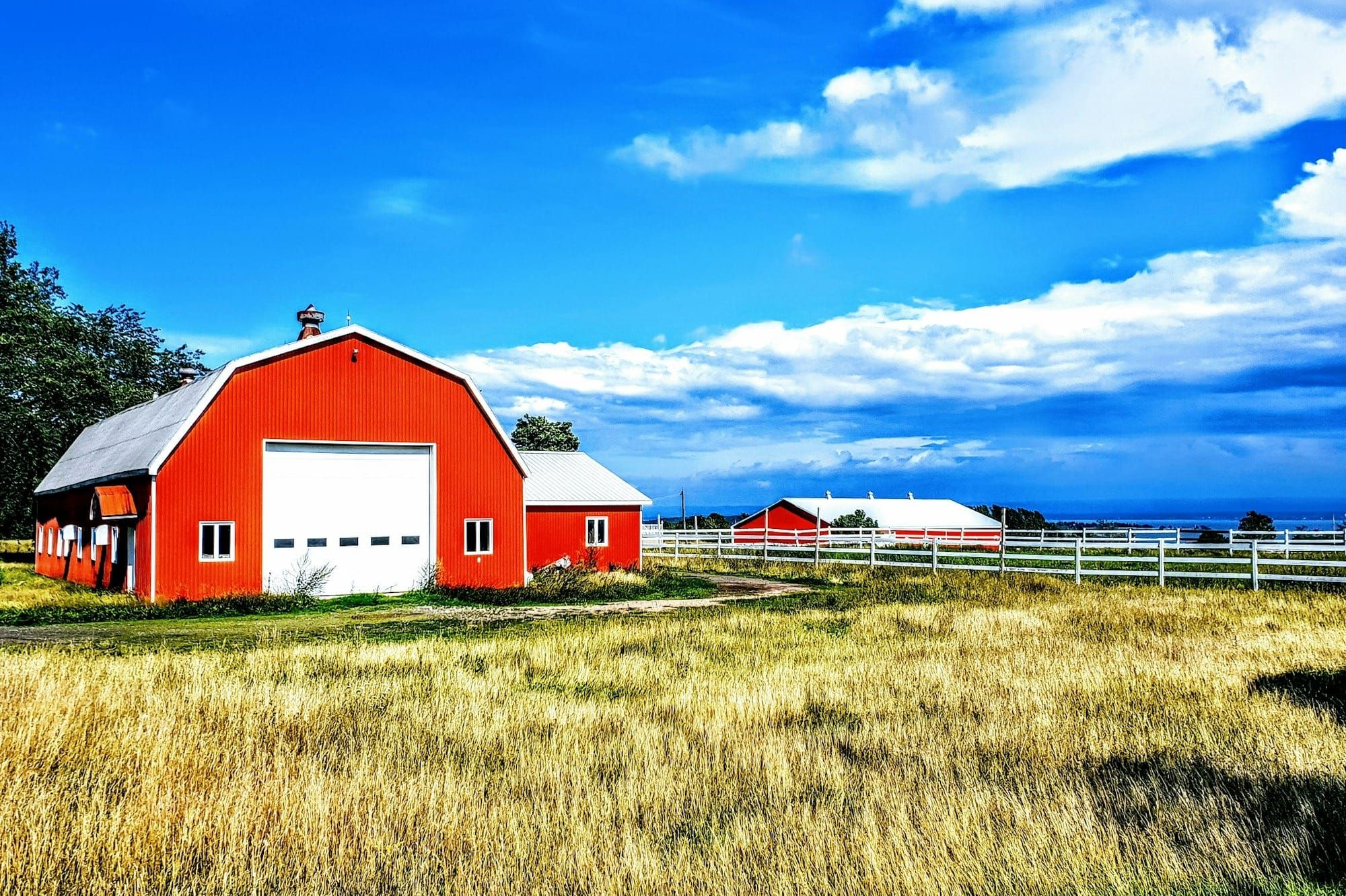 How to Avoid Barn Drama (and Keep the Peace in the Aisle)