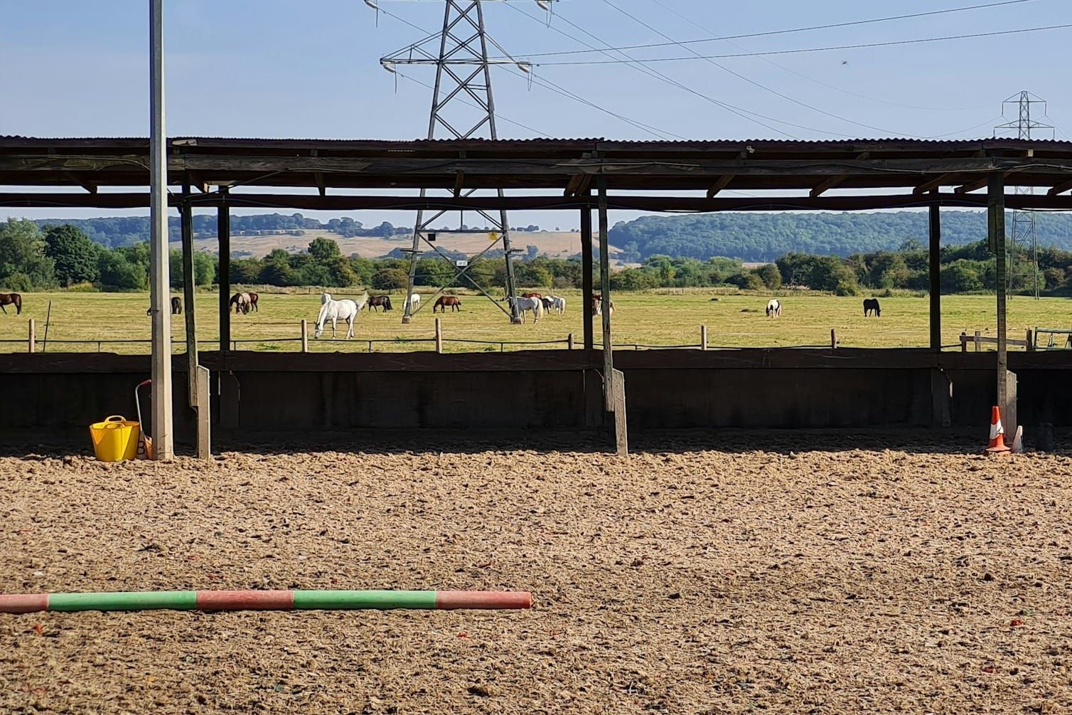 Fun Ground Work Activities to Do with Your Horse