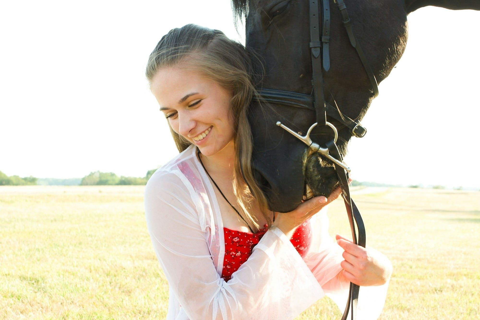 The Healing Power of Horses: Understanding Equine-Assisted Therapy