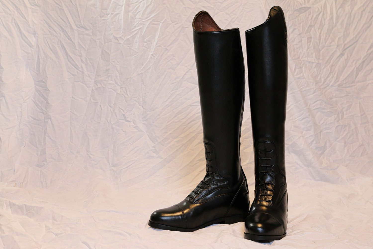 Your Guide to Buying English Riding Boots