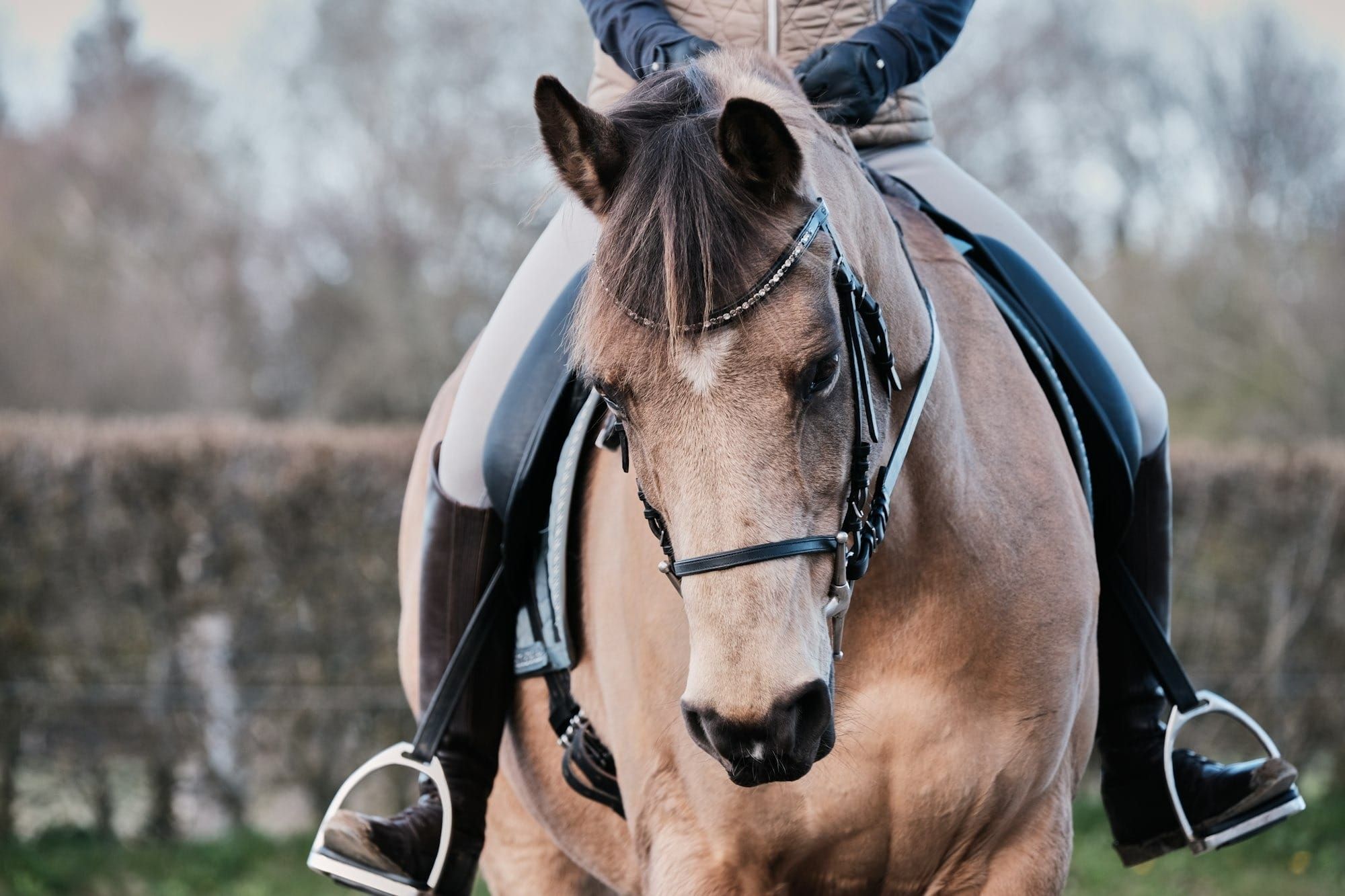 Finding Your Courage in the Saddle: A Guide for Nervous Riders