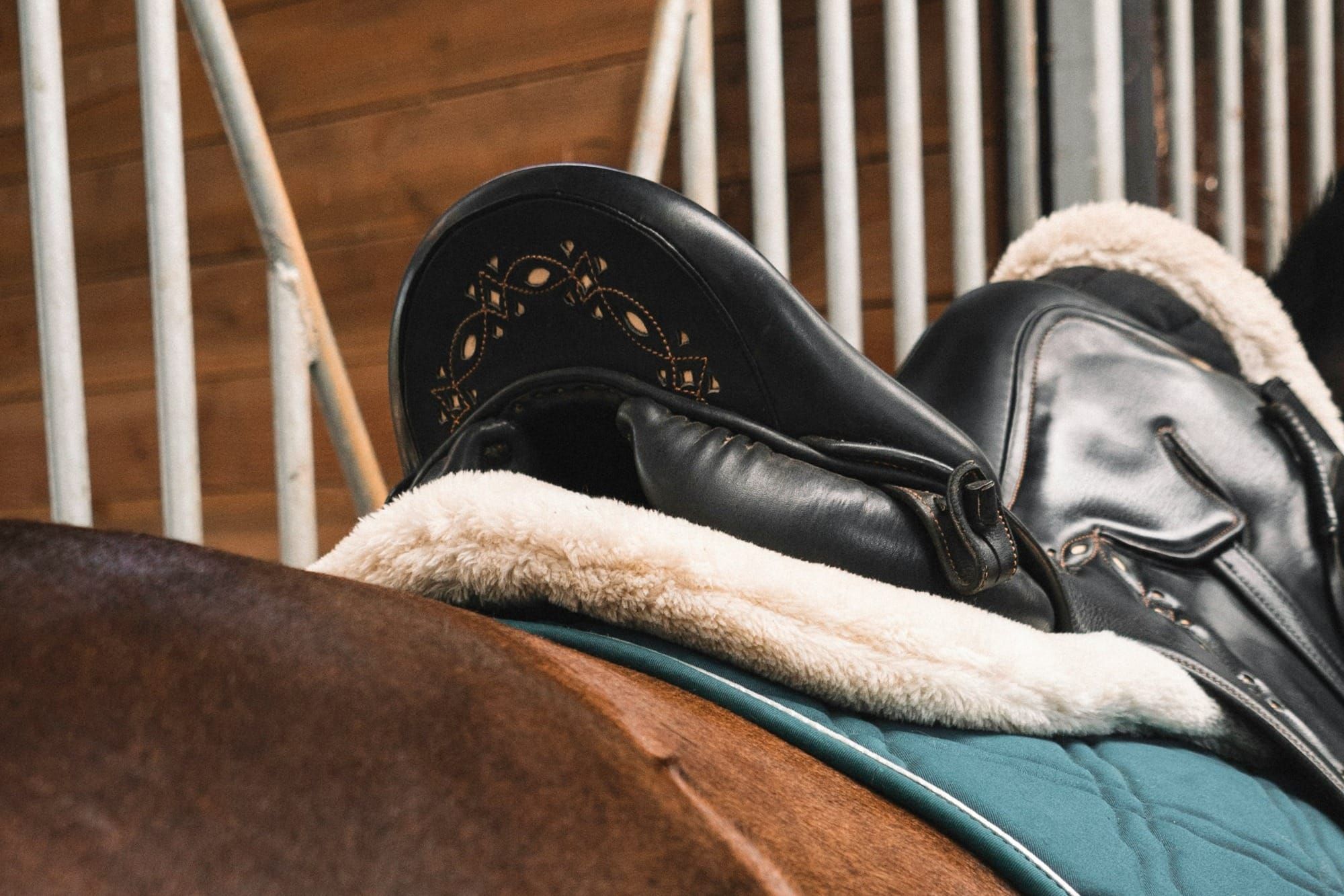 Tips for Cleaning Tack