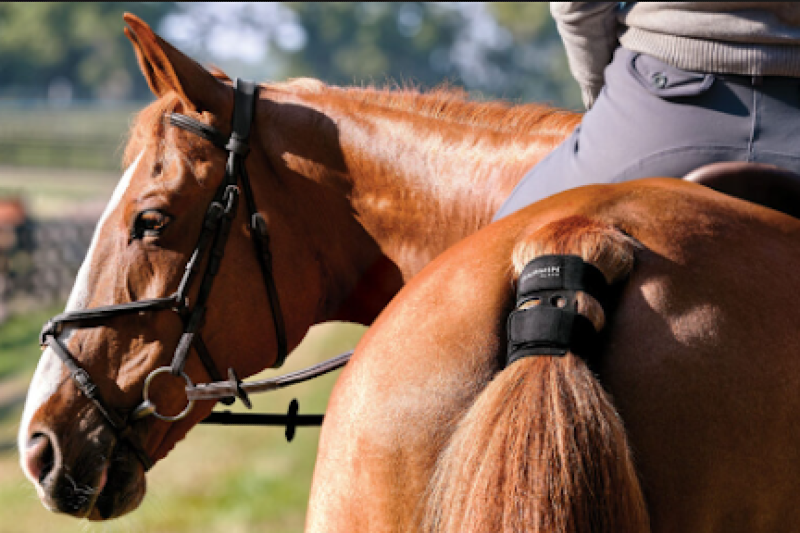 From Smart Saddles to AI Ride Reviews: Equestrian Tech Worth Knowing About